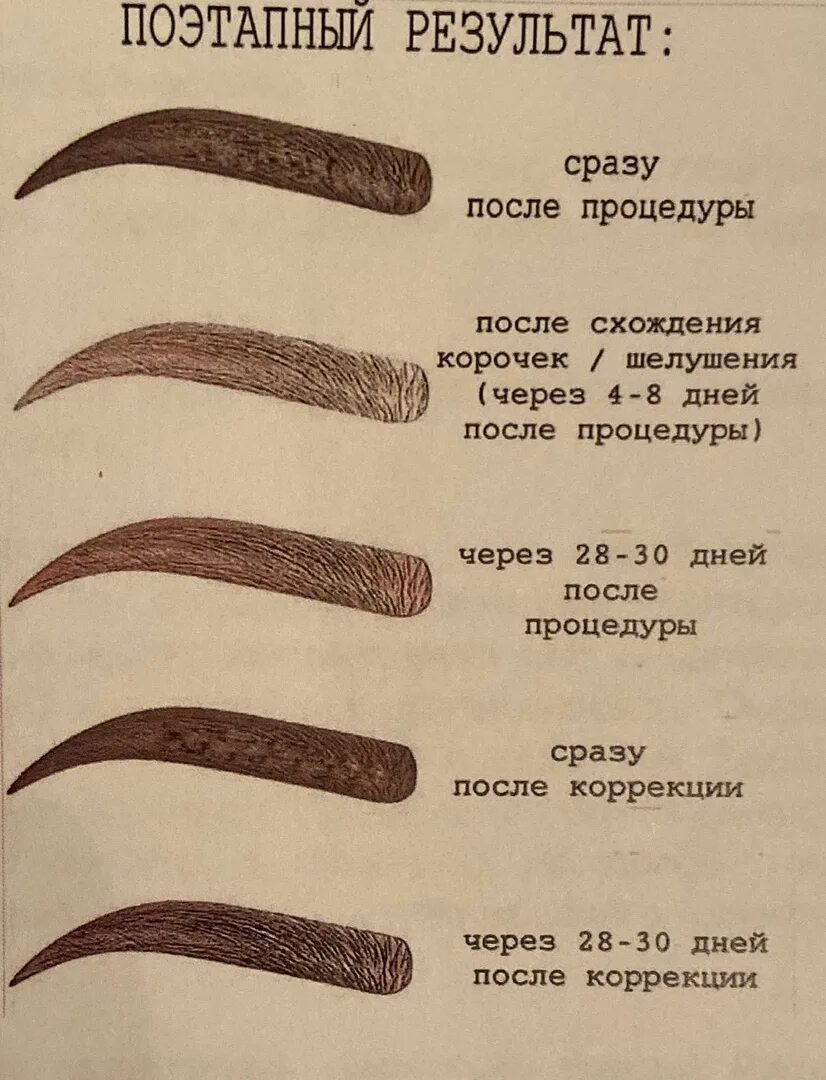 Процесс заживления бровей после перманентного макияжа Перманентный макияж бровей этапы заживления по дням