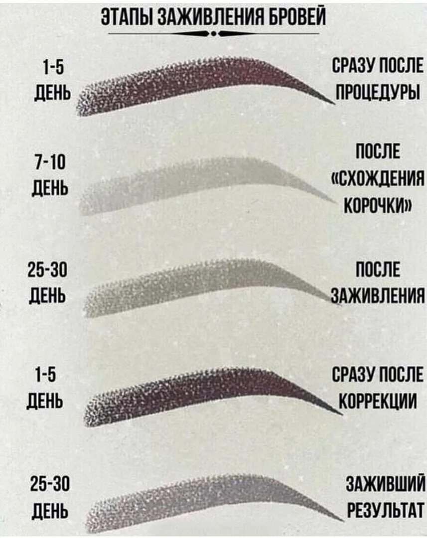 Процесс заживления перманентного макияжа бровей по дням Пм бровей заживление - журнал 13malyshok.ru