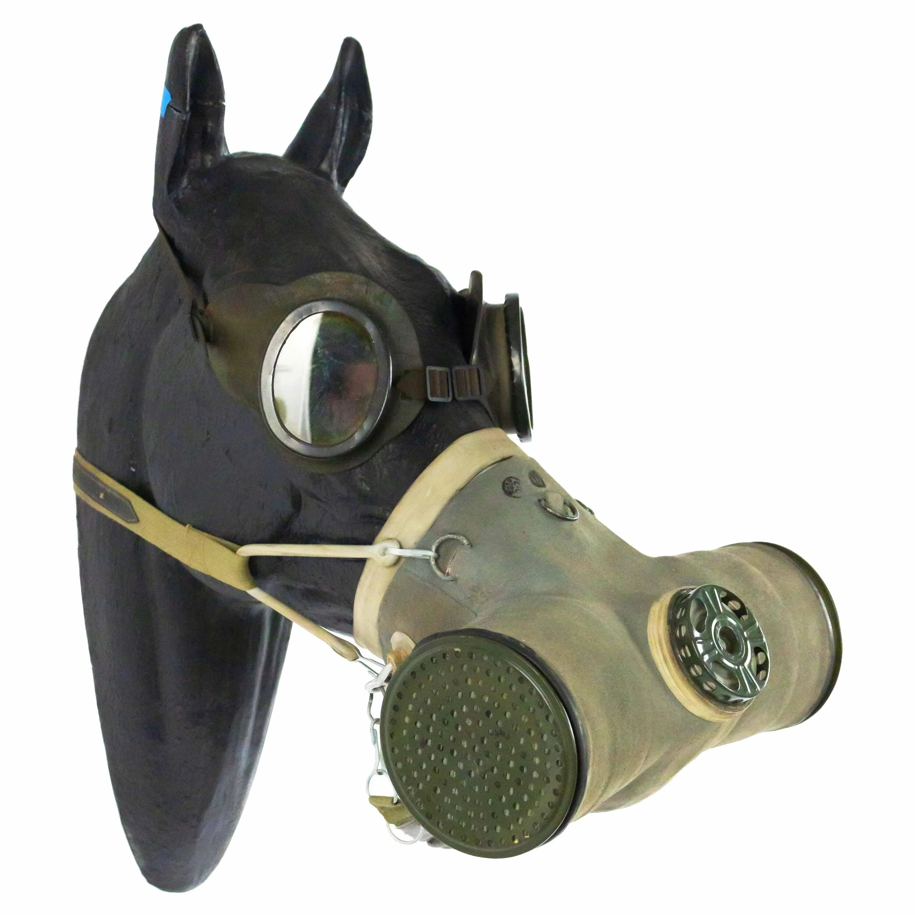 Противогаз для лошади фото Horse Gas Masks - 2 For Sale on 1stDibs gas masks for horses, horse gasmask, gas