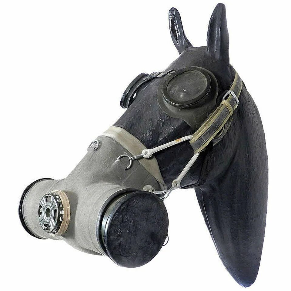 Противогаз для лошади фото Gas mask, Horse accessories, Gas