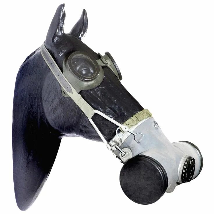 Противогаз для лошади фото Horse Gas Mask 2 1stdibs.com