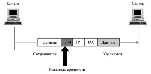 Протоколы подключения к телефону НОУ ИНТУИТ Основные протоколы интернет. Лекция 12: Протоколы прикладного уровня.