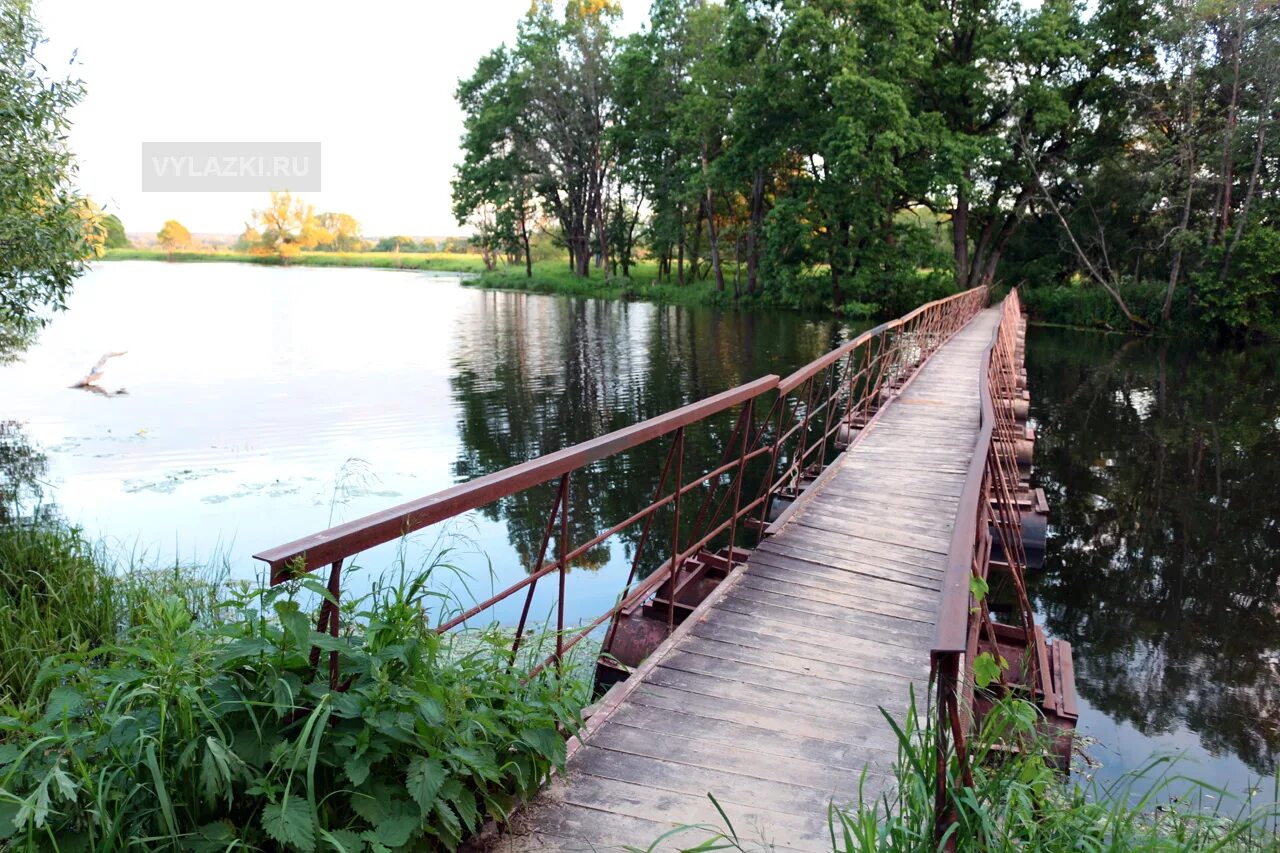 Протва ул ленина 22 жуков фото Озеро оглублянка калужская область - Фото