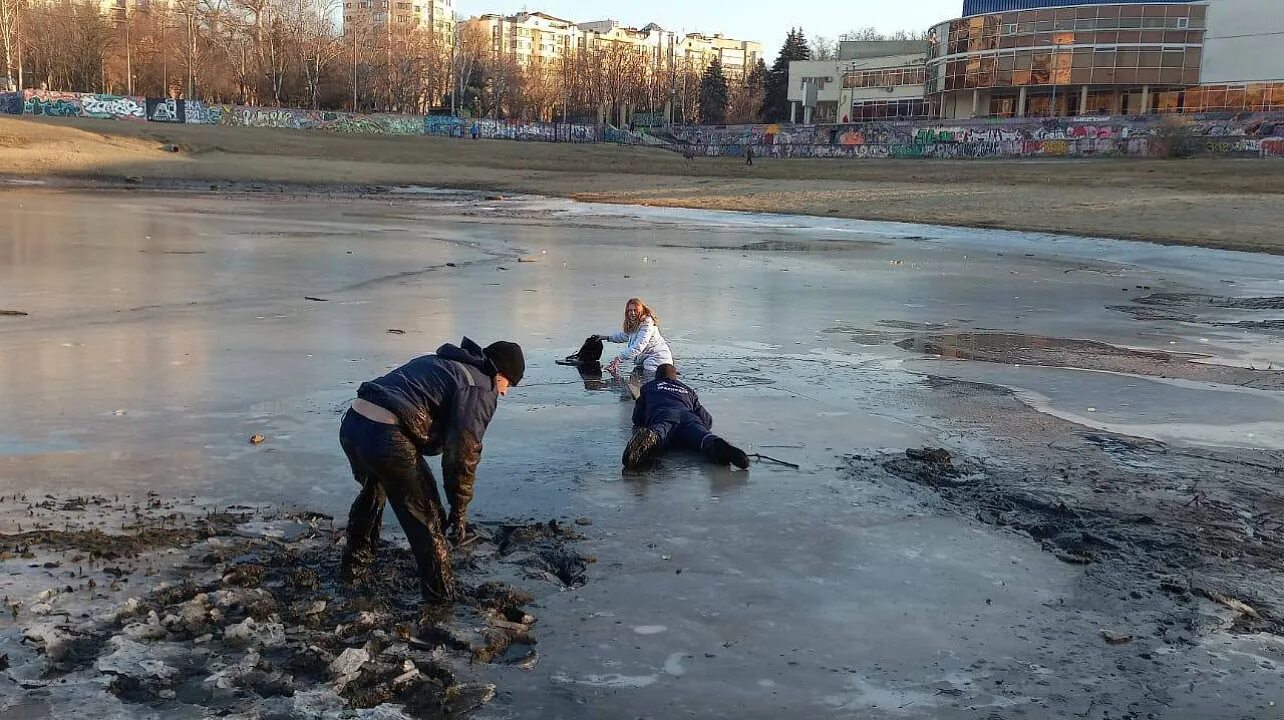 В Новосибирской области пенсионер провалился под лёд реки Карасук и утонул - KP.