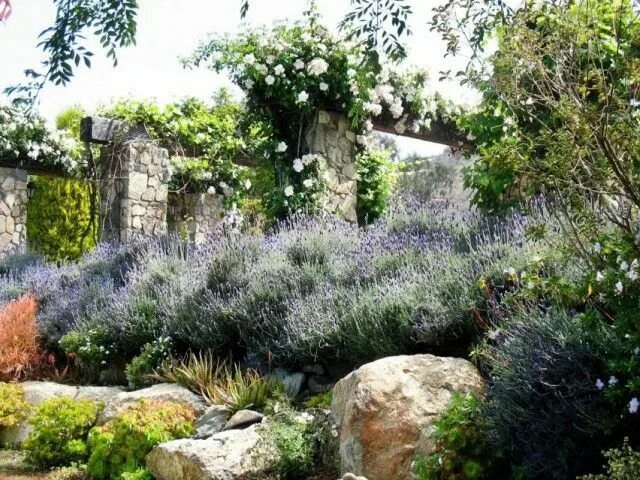 Прованс в ландшафтном дизайне 10 базовых компонентов французского сада French country garden, Hillside garden,