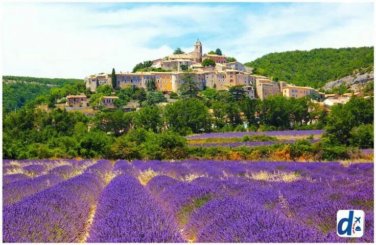 Прованс верхняя ул 13 фото Campos de Banon, Francia Provence lavender, Lavender fields, Provence france