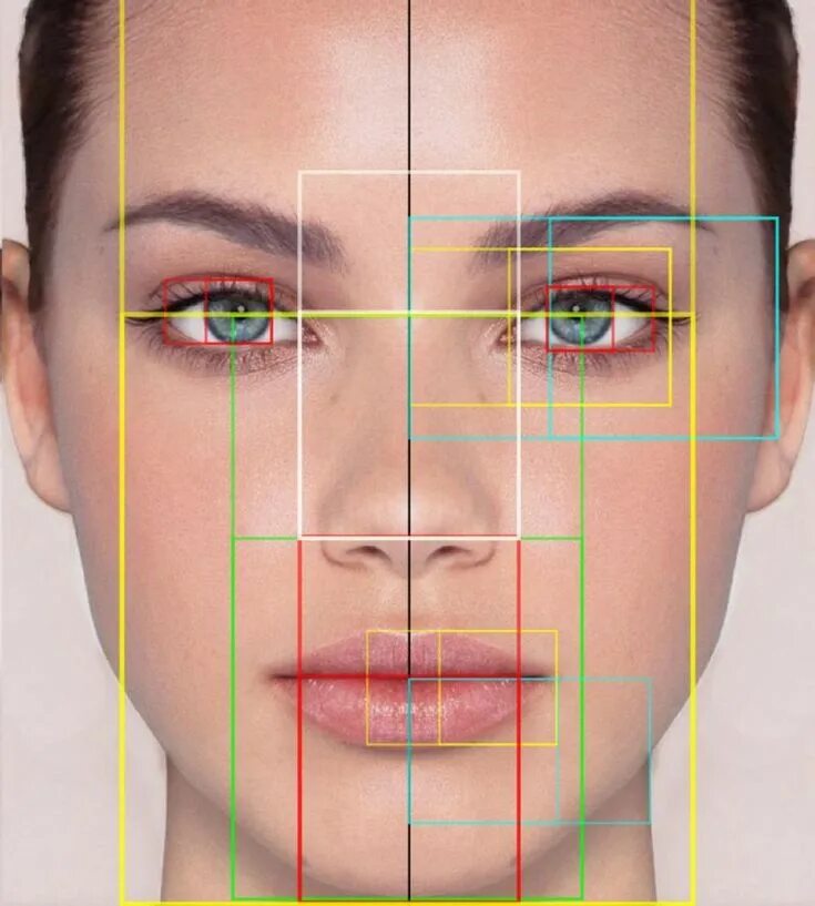 Проверить лицо по фото The Golden Ratio Face Face proportions, Anatomy for artists, Human face