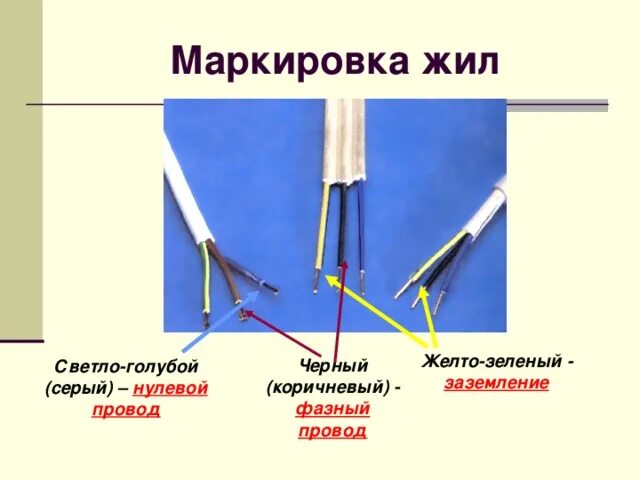 Провод черный синий коричневый как подключить Презентация по технологии "Электротехнические работы"