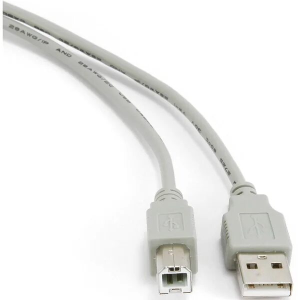 Провод для подключения принтера к ноутбуку Кабель USB Cablexpert CCP-USB2-AMBM-6G 1.8m - купить по низкой цене в интернет-м