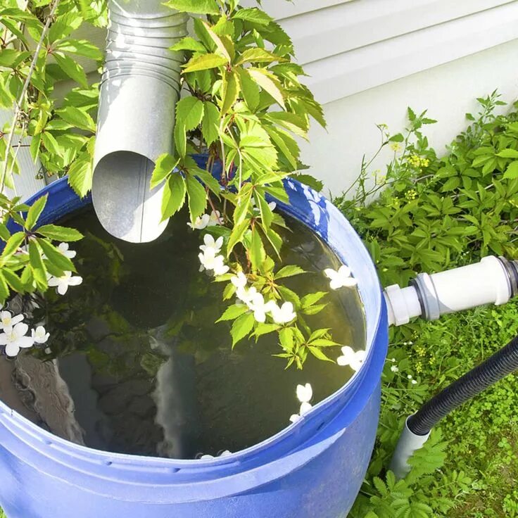 Проводим воду на даче своими руками 11 Landscaping Hacks That Will Save You Time Сбор дождевой воды, Контейнерные ра