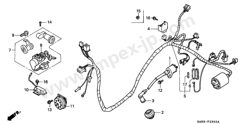 Проводка дио 27 схема Wire harness/ ignition coil for HONDA SK50MV 1997 - IMPEX JAPAN