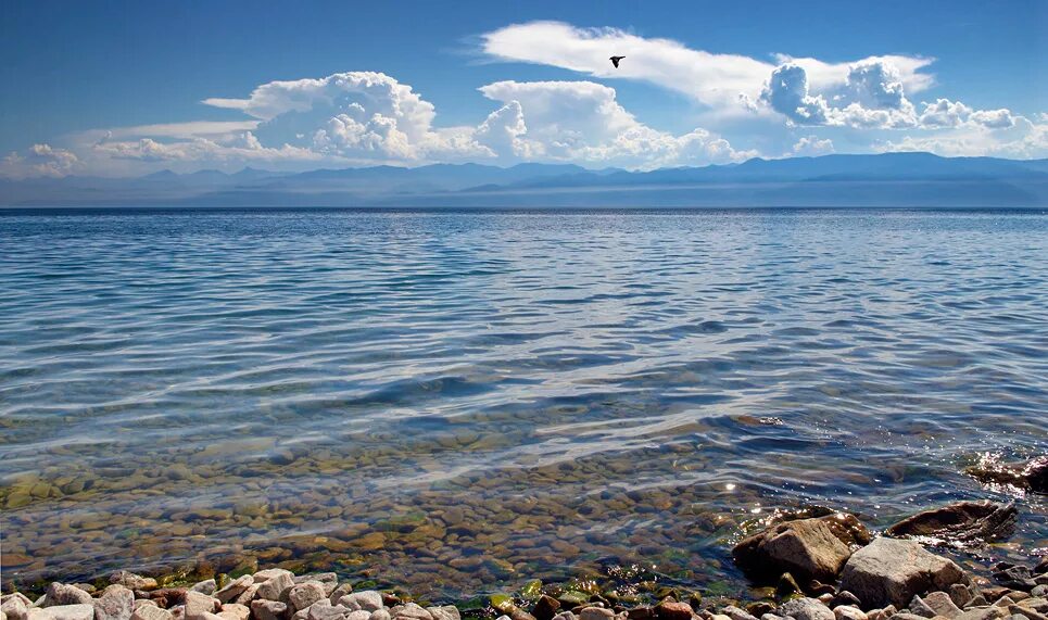 Прозрачная вода байкала фото Природа Байкала Байкал (3)