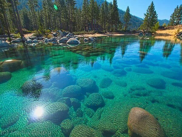 Прозрачные озера фото Twitter Flathead lake, Lake, Clear lake