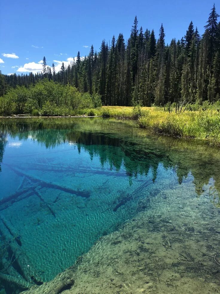 Прозрачные озера фото Nine Oregon beauty spots near Portland An Unfamiliar Sky Oregon hikes, Oregon, B