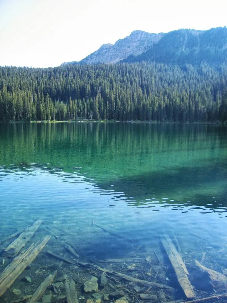 Прозрачные озера фото Little Therriault Lake in Montana's Kootenai National Forest West coast road tri