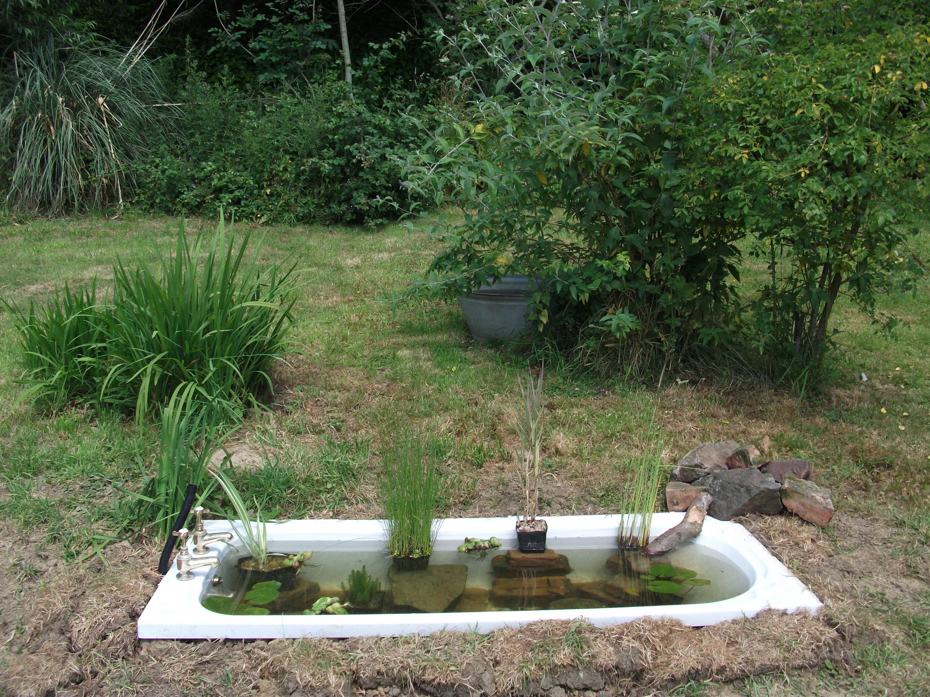 Пруд из ванны на даче своими руками Made my old bath into a pond! Fish pond gardens, Backyard water feature, Ponds b