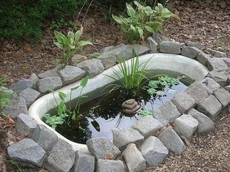 Пруд из ванны на даче своими руками pond in the country Laghetti in cortile, Idee arredo giardino fai da te, Arredo 