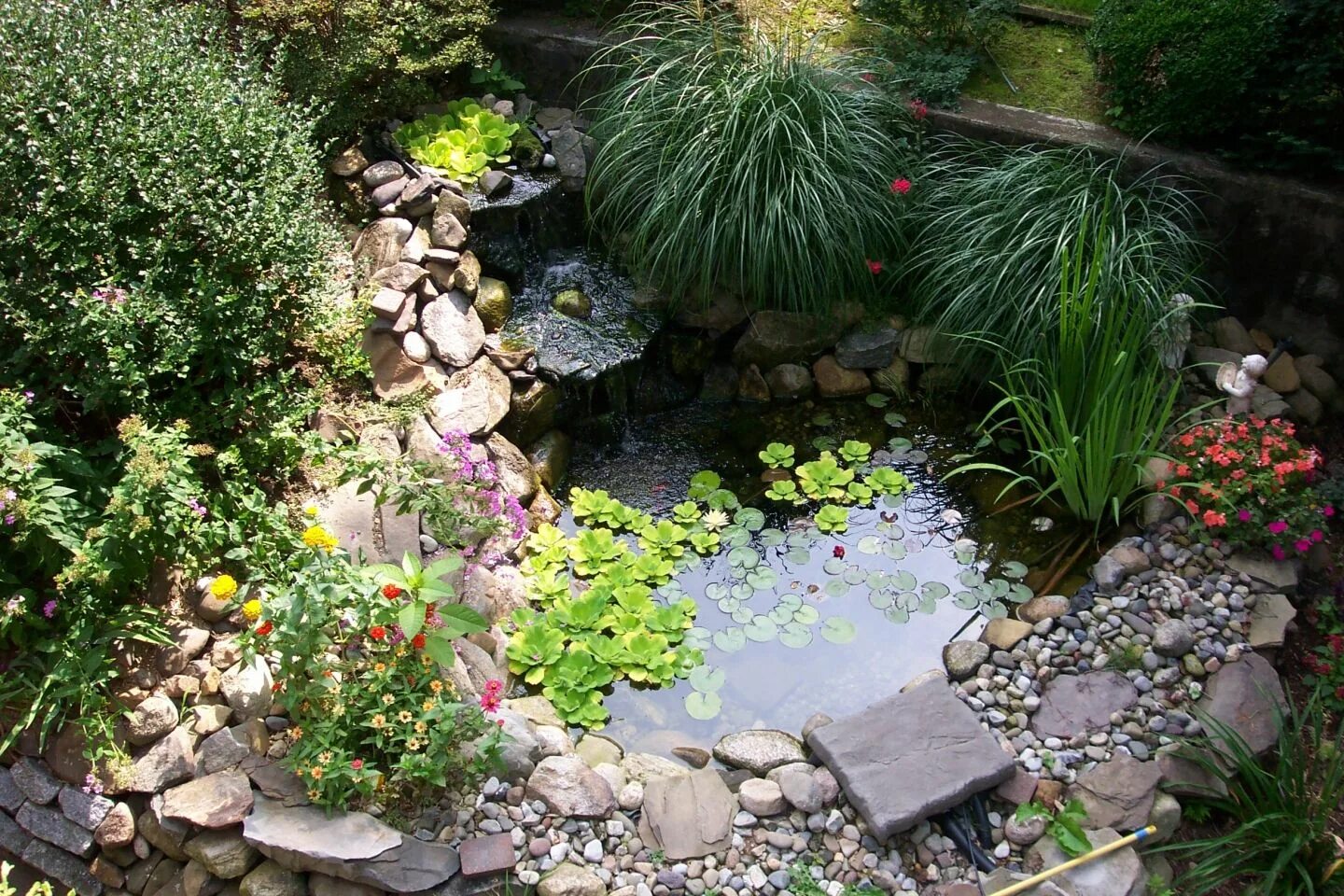 Пруд на даче фото Image result for patio pond planter Kleiner gartenteich, Hinterhof garten, Garte