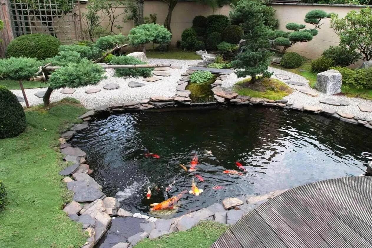 Пруд на даче своими руками ландшафтные идеи 15 Awe-Inspiring Garden Ponds That You Can Make By Yourself Fish pond gardens, G