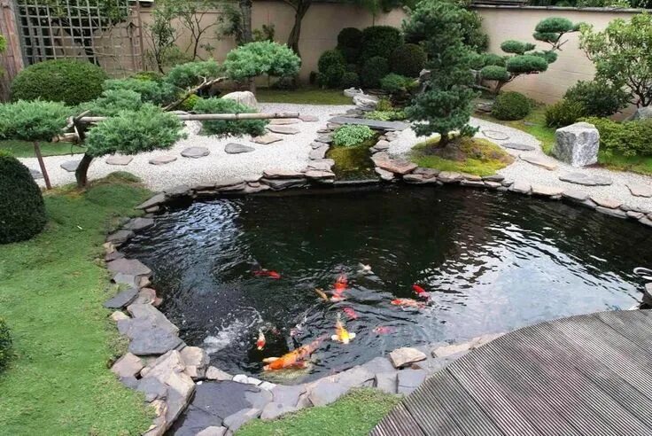 Пруд на садовом участке фото 15 Awe-Inspiring Garden Ponds That You Can Make By Yourself Fish pond gardens, G