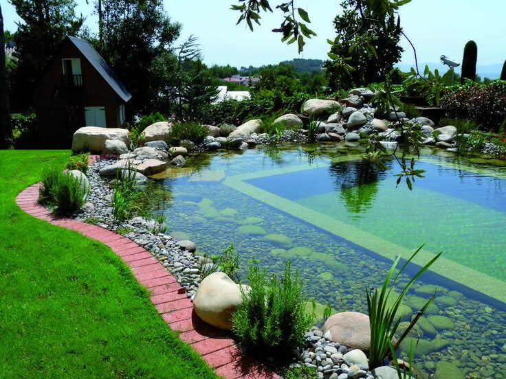 Пруд на участке дизайн фото piscinas ecologicas - Buscar con Google Garden pond design, Ponds backyard, Pond