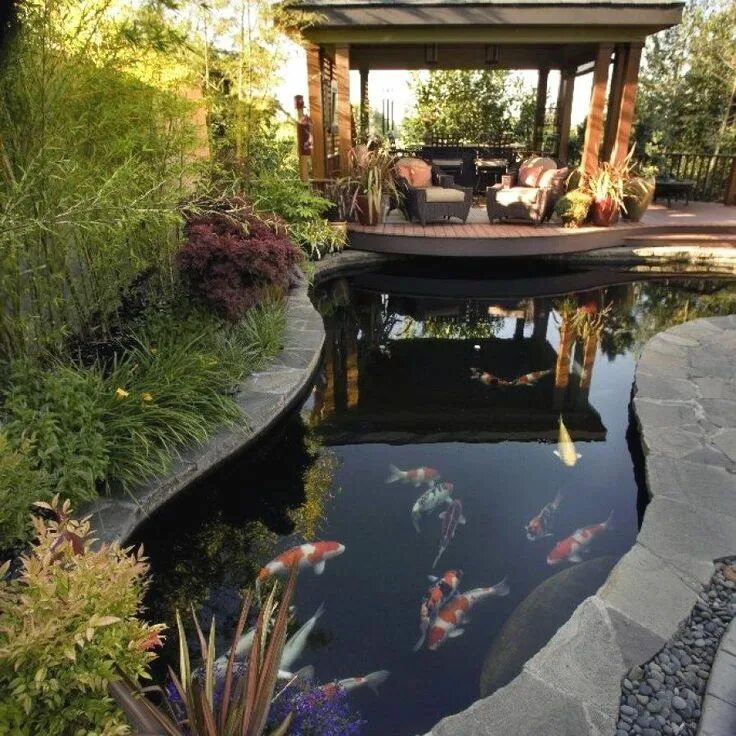 Пруд на участке дизайн фото Japanese Koi Ponds For Your Garden or Backyard Koi pond design, Pond landscaping