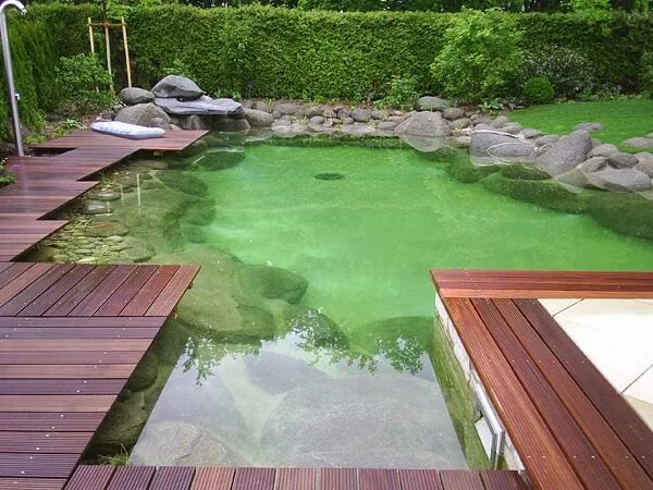 Пруд рука фото Pin by K Matt on Garden, outdoors and pets Ponds backyard, Modern pond, Pond des