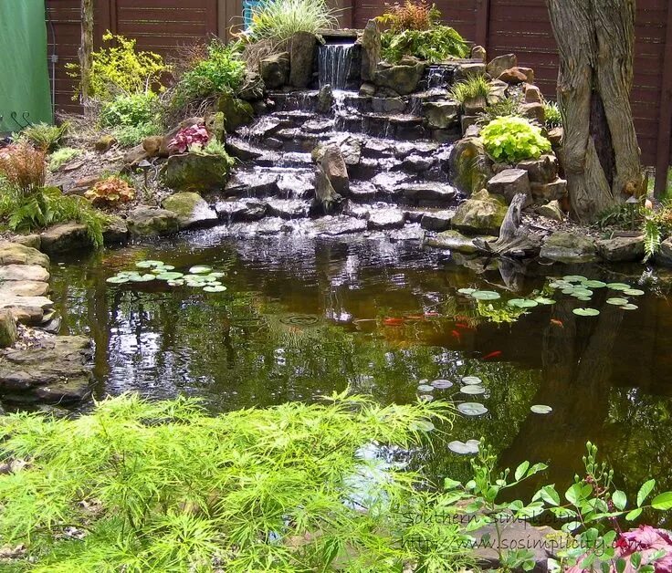 Пруд с водопадом своими руками на даче 53 Cool Backyard Pond Design Ideas DigsDigs Ponds backyard, Waterfalls backyard,