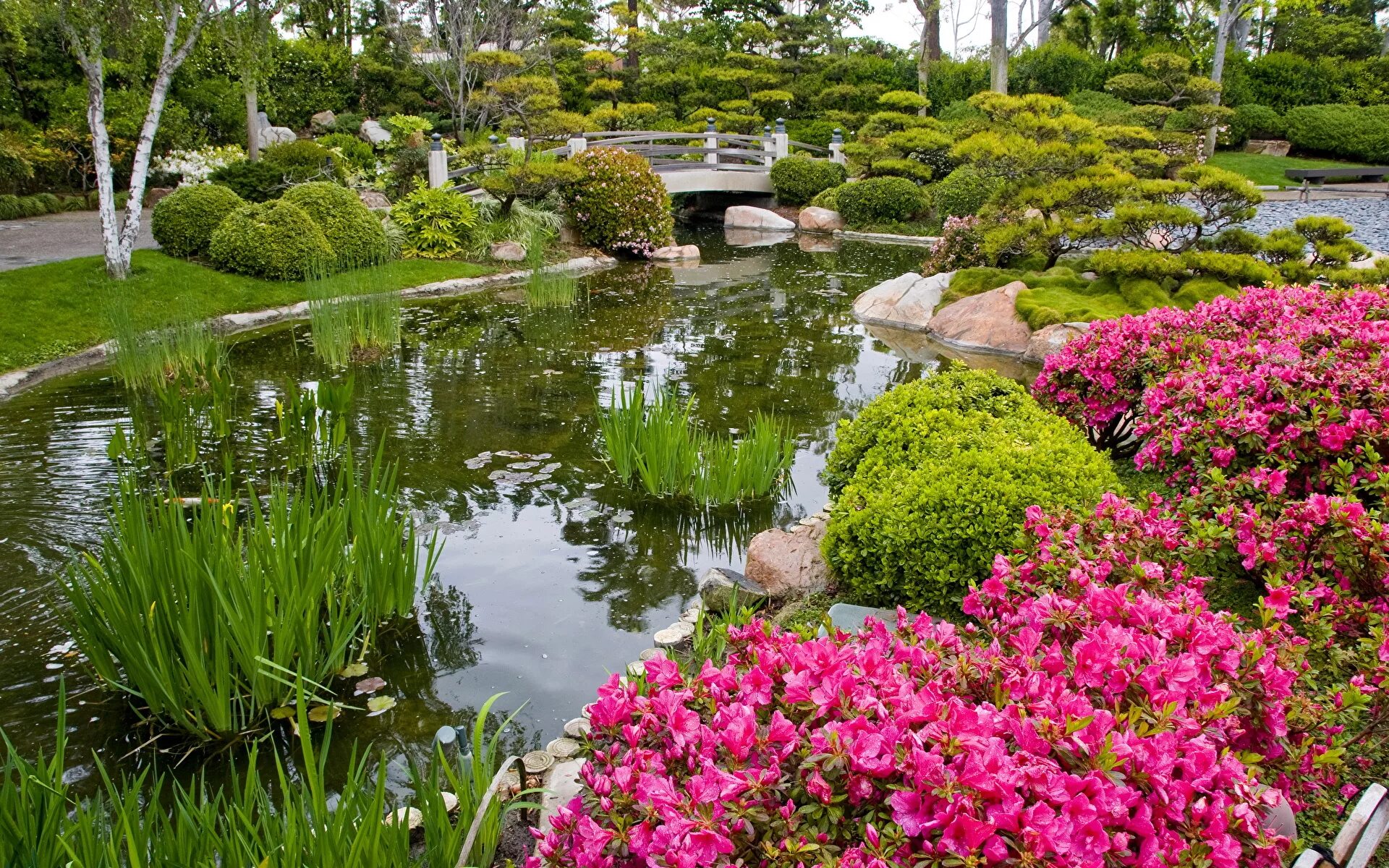 Пруд сад фото Фотографии Калифорния Miller Japanese Garden Природа Сады 1920x1200