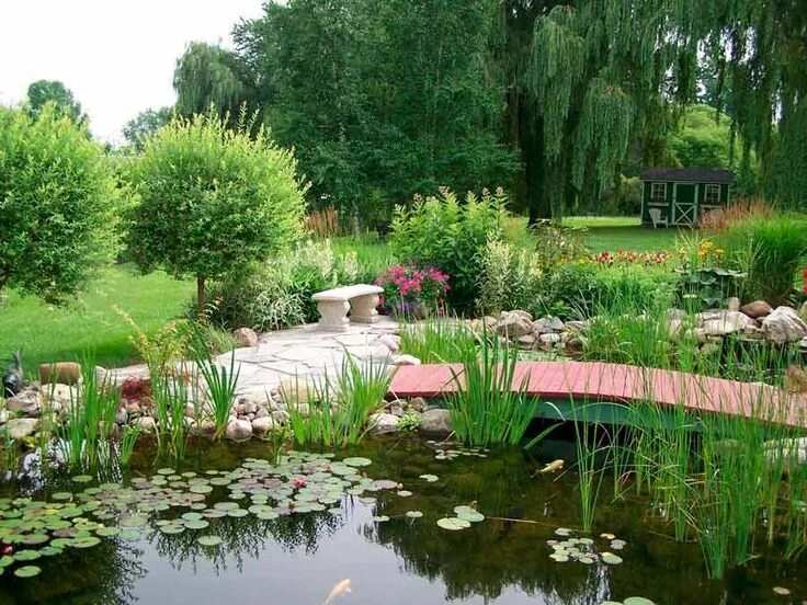 Пруд сад фото Садовый водоем Outdoor gardens, Ontario, Backyard