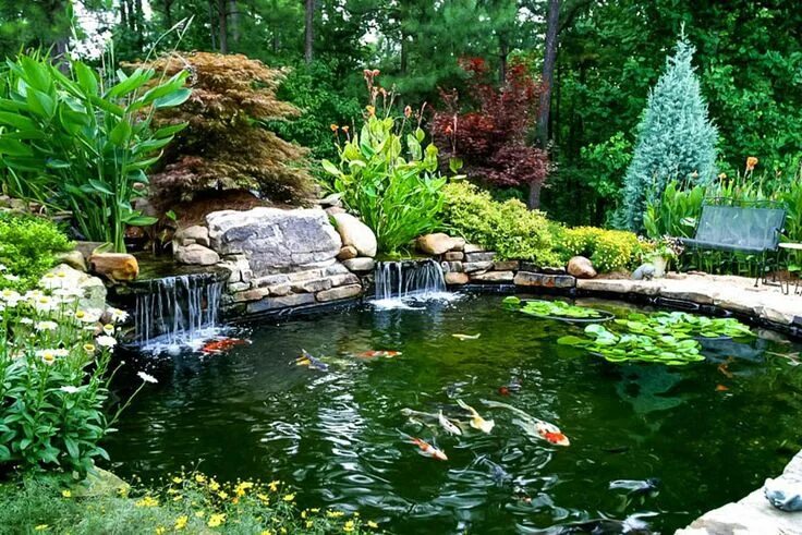 Пруд сад фото Animate your Landscape with Waterfalls, Koi Ponds, Aquatic Gardens Pond landscap