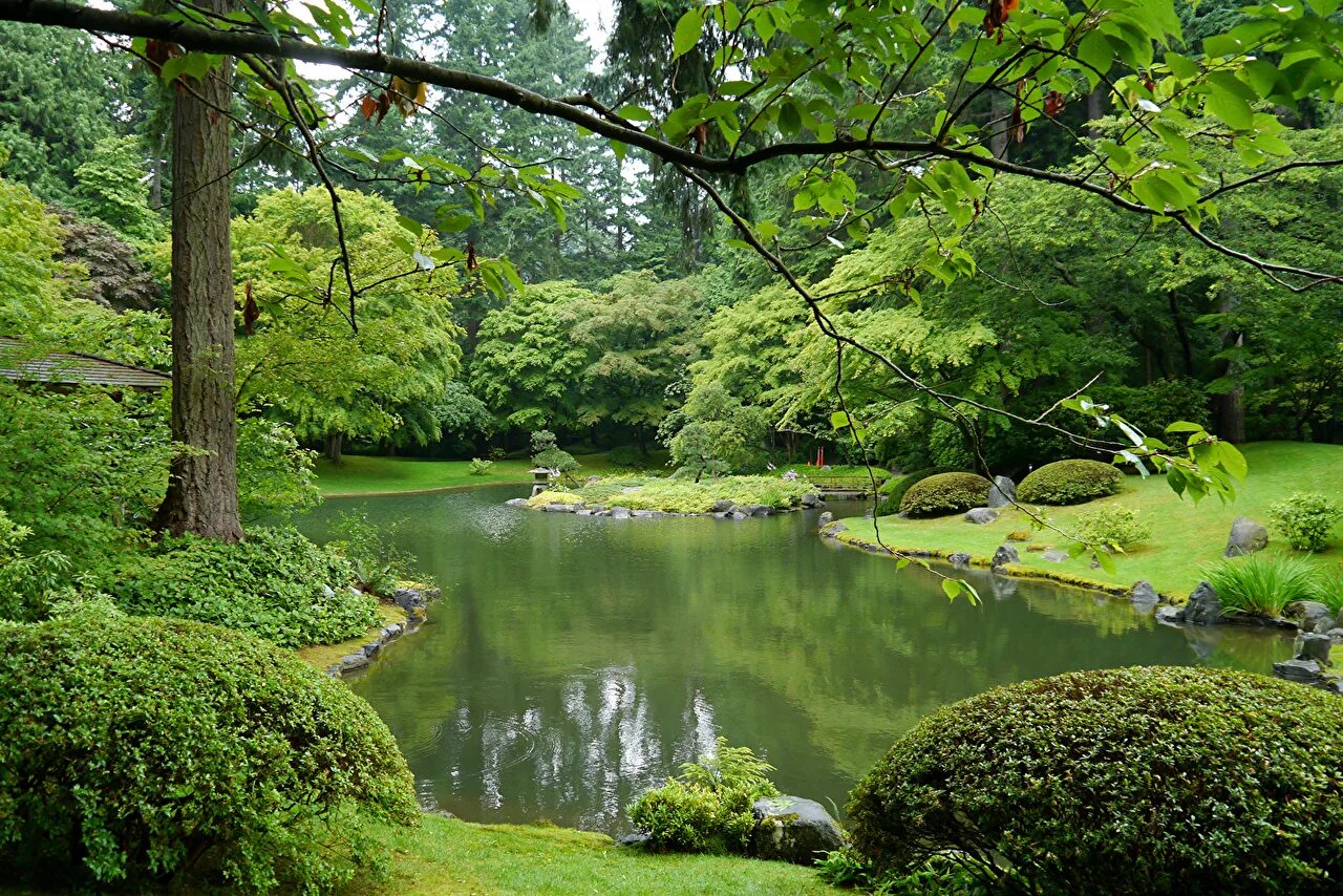 Пруд сад фото Фотографии Ванкувер Канада Nitobe Garden Природа парк Пруд Кусты