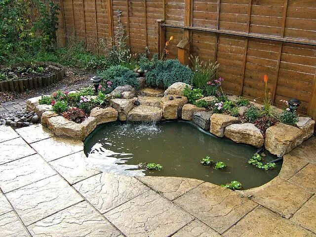 Пруд садовый своими руками на участке фото Pond Maintenance Horsham All About Fish Pond & Aquarium Services Rockery garden,