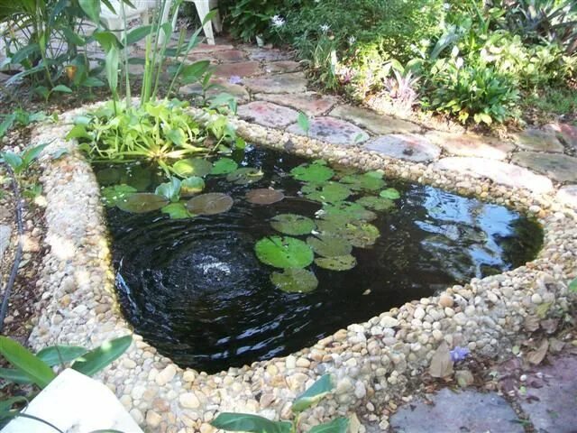 Пруд своими руками на даче для рыбы TaDeGe Pond And Water Garden Diy pond, Water gardens diy, Ponds backyard