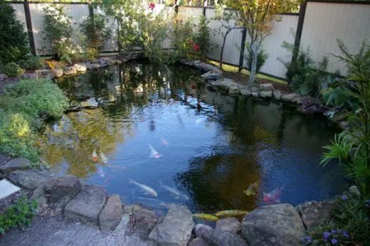 Пруд своими руками на даче для рыбы How to Build an Outdoor Fish Pond Outdoor fish ponds, Garden lodge, Ponds backya