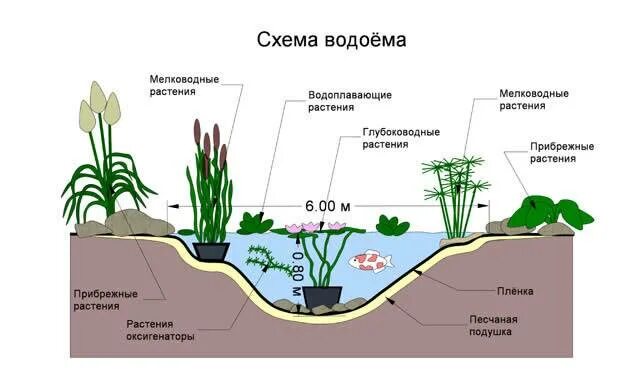 Пруд своими руками схема 3 способа изготовления декоративного водоема своими руками