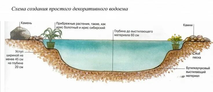 Пруд своими руками схема Зачем на участке нужен пруд Своя изба Landscape design, Amazing gardens, Pond