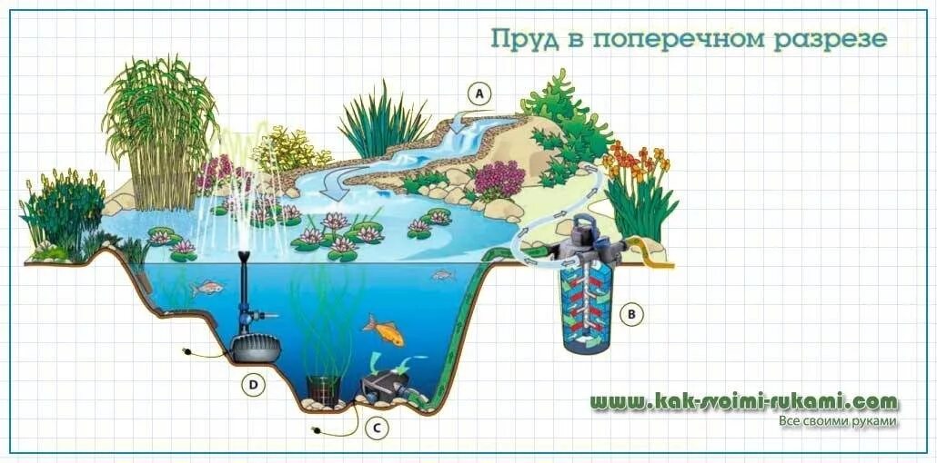 Пруд своими руками схема Own pond in the garden with your own hands - step by step description of the man