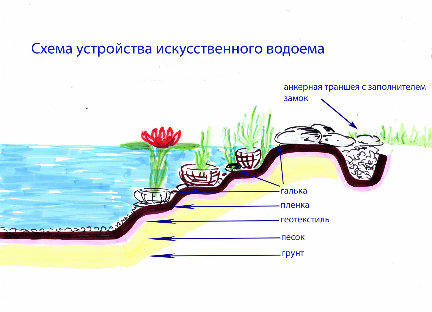 Пруд своими руками схема Как сделать пруд своими руками? - НПФ "ШАР"