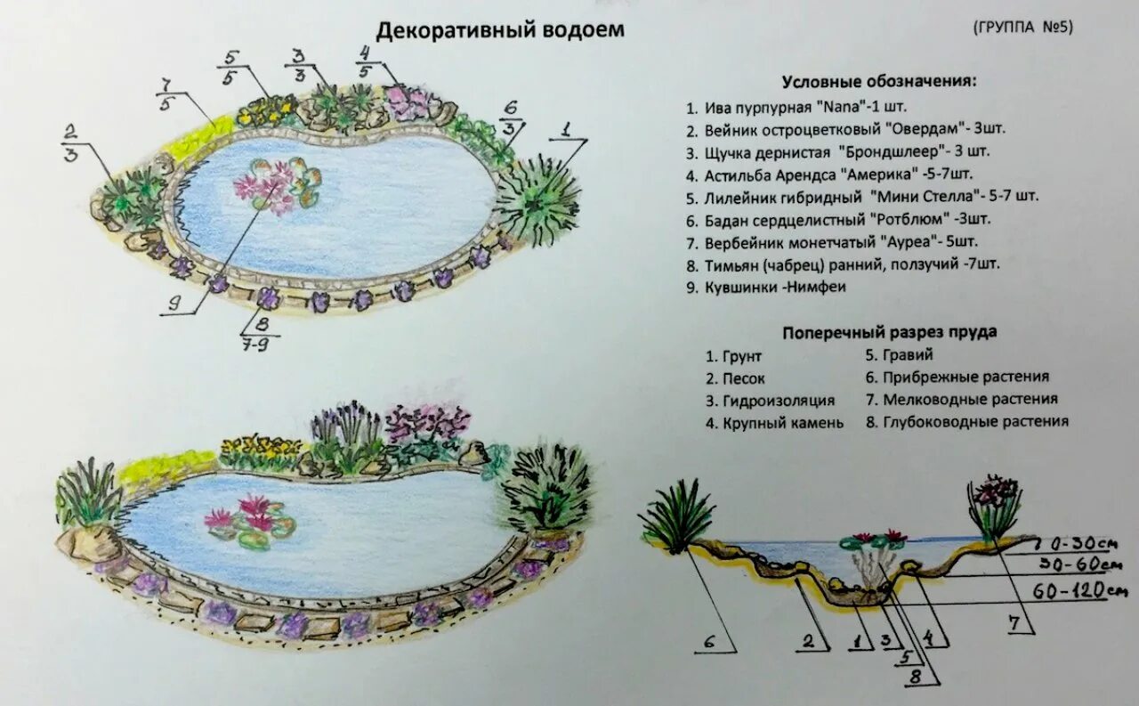 Пруд своими руками схема Работы студентов по ландшафтному дизайну в Академической школы дизайна