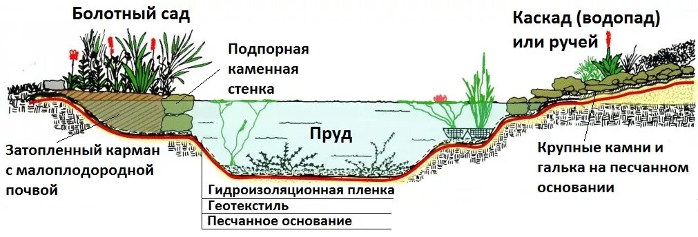 Пруд своими руками схема Как обустроить и озеленить пруд - АкаДОМия