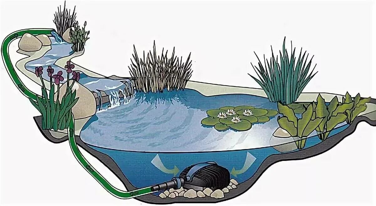 Пруд своими руками схема Как сделать пруд своими руками: подробный инструктаж по созданию водоема на приу