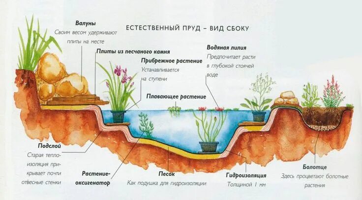 Пруд своими руками схема Яндекс.Картинки: поиск похожих картинок Garden pond design, Natural swimming poo