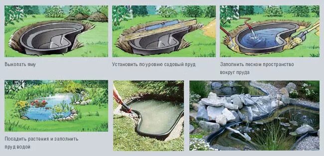 Пруд своими руками схема Здоровый образ жизни и фитнес дома залог красивой фигуры Пруды, Дача, Дом