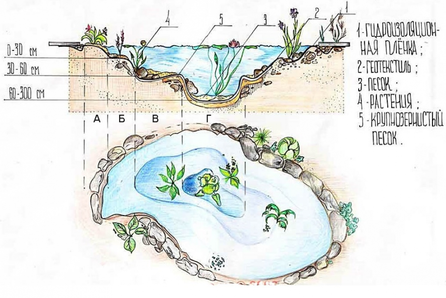 Пруд своими руками схема Пруд на участке: как обустроить декоративный искусственный водоем в саду - Спело