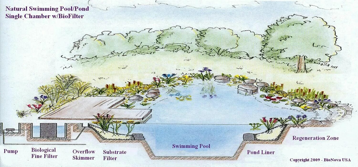 Пруд своими руками схема Natural pool filtration diagram Swimming pond, Natural swimming pools, Natural p