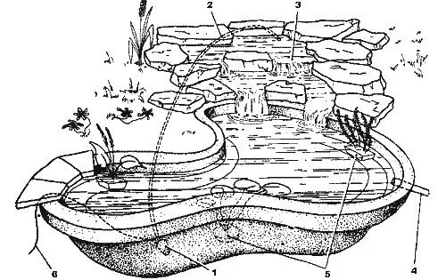 Пруд своими руками схема Схема устройства декоративного водоема с альпинарием