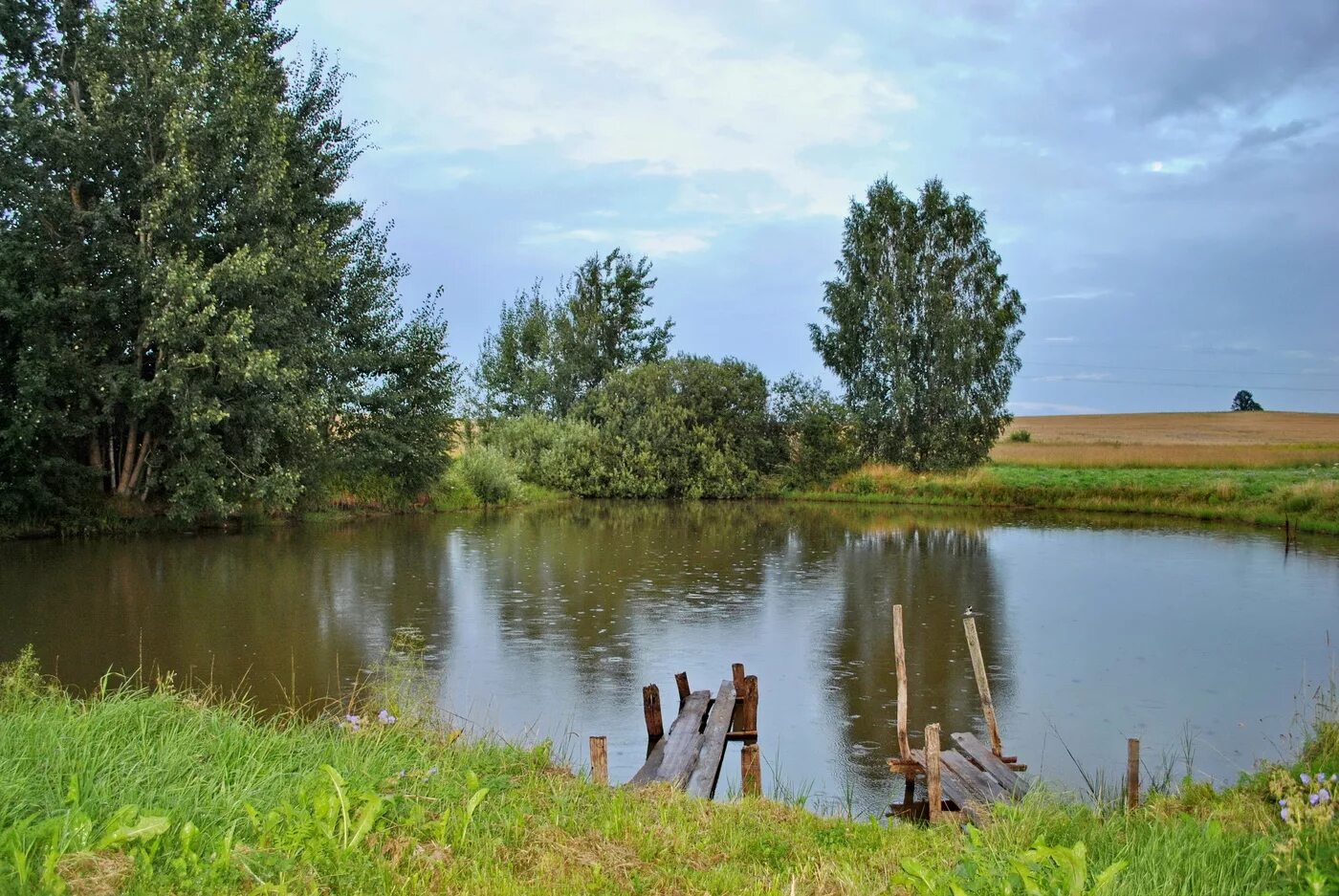 Пруд в деревне фото фото