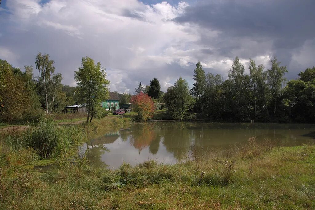 Пруд в деревне фото Деревенский пруд. / Ревякино Тульская обл / Автор: Vaalv