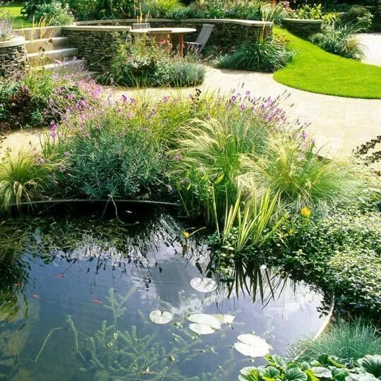 Пруд в ландшафтном дизайне Garden Wedding - SalePrice:15$ Garden pond design, Water features in the garden,